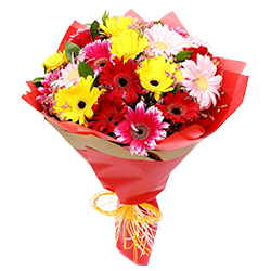 Ornamental Bouquet of Mixed Gerberas