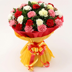 Colorful Blast Bouquet of Mixed Carnations