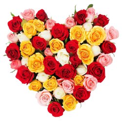 Luminous Hearty Selection of 30 Mixed Roses
