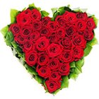 Petite Dutch Roses in Heart Shaped Arrangement