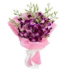 Everlasting Sunshine Orchid Delight Bunch