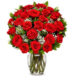 Exceptional Fresh Red Roses in a Vase