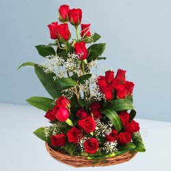 Cheerful Collection of 25 Dutch Red Roses in a Basket