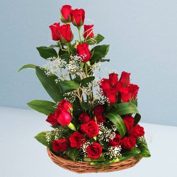 Cheerful Collection of 25 Dutch Red Roses in a Basket