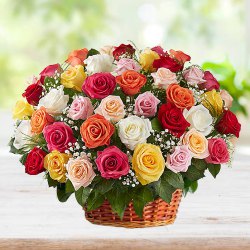 Fragrant Arrangement of Multicoloured Roses in Basket