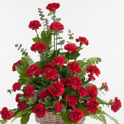 Tender Best Wishes Red Carnation Flowers Collection