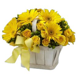 Peachy Proximity Roses and Gerberas Arrangement