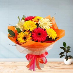 Expanding Essentia Gerberas Bouquet