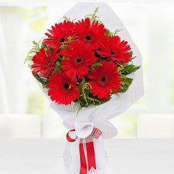 Breezy Enigma Red Gerbera Bouquet