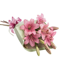 Vibrant Bouquet of Thriving Lilies