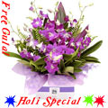 Heavenly Orchids Avengement with free Gulal/Abir Pouch.