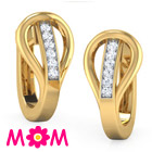 Rich Astonishment Earrings