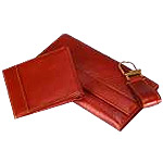 Long Leather Wallet with transparent flap & zip