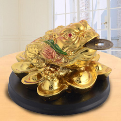 Sacred Feng Shui Three Legged Money Frog