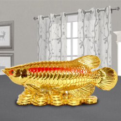 Online Golden Arowana Fish