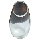 Online Designer Glass Vase-FFR2M/R2L