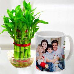 Online Personalized Coffee Mug with Two Tier Bamboo Plant