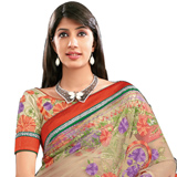 Exclusive Multicolor Net Saree