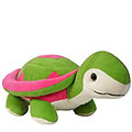 Extremely Wonderful Tortoise