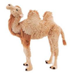 Smashing Standing Camel Soft Toy