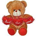 Marvelous Looking Tri Heart Bear