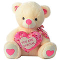Alluring Teddy Bear