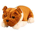 Big Bulldog