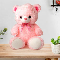 Big Teddy Bear