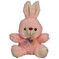 Love Bunny