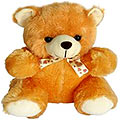 Soft and Cute Master Teddy Bear (12 inches)