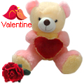 Love Teddy With Heart (16 inches) with a Velvet Red Rose