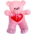 Snuggle Teddy Bear with passion