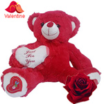 Charming Valentine Special Teddy Bear