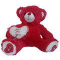 Charming Valentine Special Teddy Bear