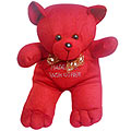 Beautiful Valentine Special Love Teddy