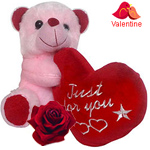 Soft Plush Teddy bear