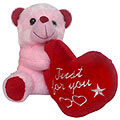 Soft Plush Teddy bear
