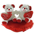 Smart Looking Couple Teddy with Warm Indulgence