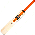 Cricket Bat