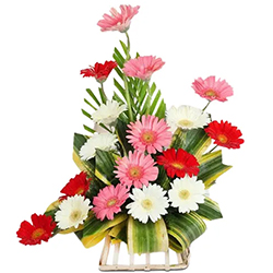 Heavenly 7 Gerberas of Designer Arrangement with Festive of Joy