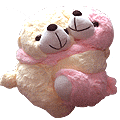 Twin Teddy in Pink and White