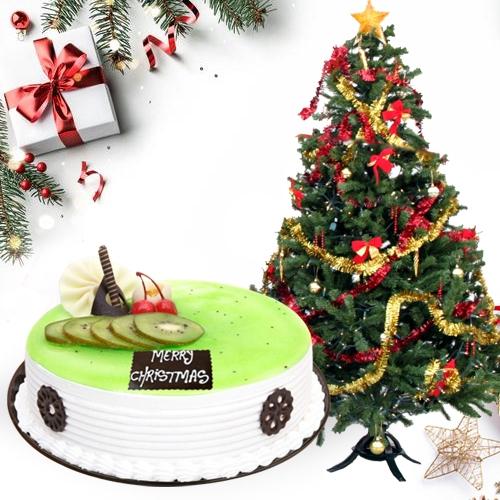 Delicious Kiwi Cake with Christmas Decor Tree