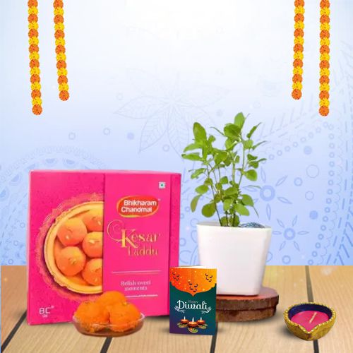 Saffron Sweetness, Tulsi, Diya Hamper