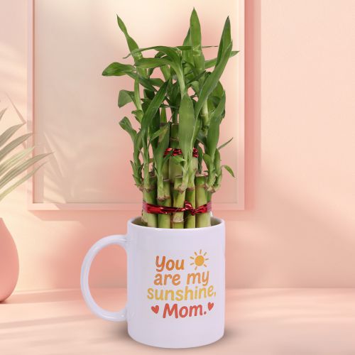 Lucky Bamboo  N  Sunshine Mug Gift