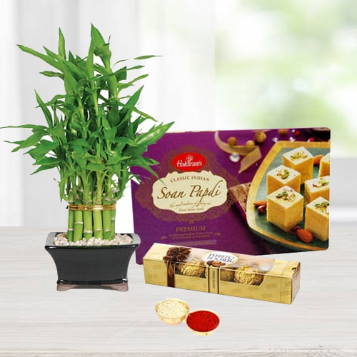 Ferrero Rocher Chocos N Bamboo Plant with Soan Papdi