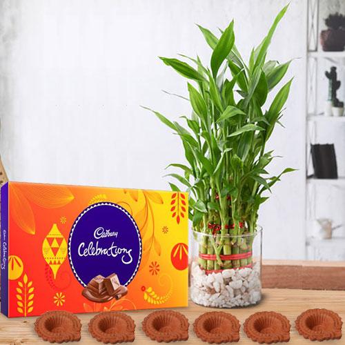 3 Tier Lucky Bamboo in Glass Pot Cadbury Celebrations N Diya
