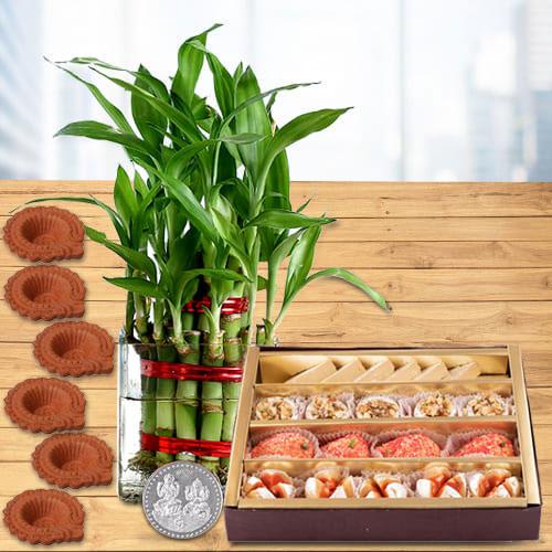 Amazing 2 Tier Good Luck Bamboo Plant Combo Gift