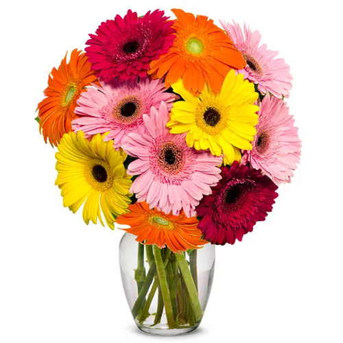 Appealing Mixed Gerberas in a Glass Vase