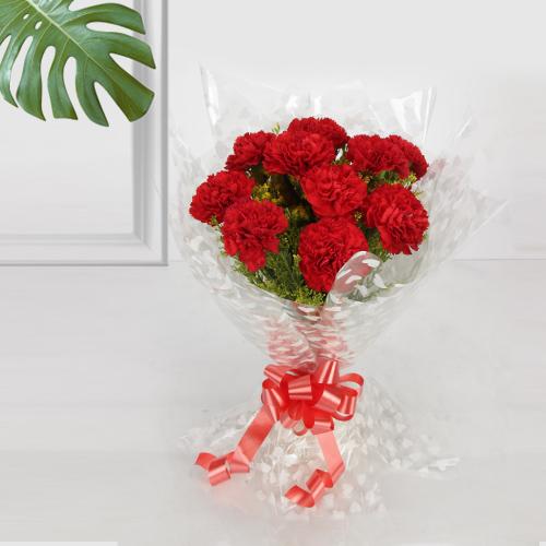 Radiant Bouquet of Red Carnations