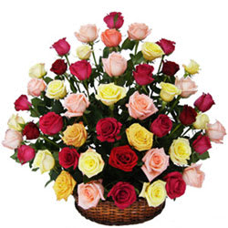 Delicate Selection of Mixed Roses in a Basket